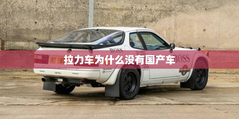 拉力车为什么没有国产车