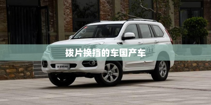 拨片换挡的车国产车