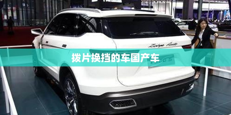 拨片换挡的车国产车