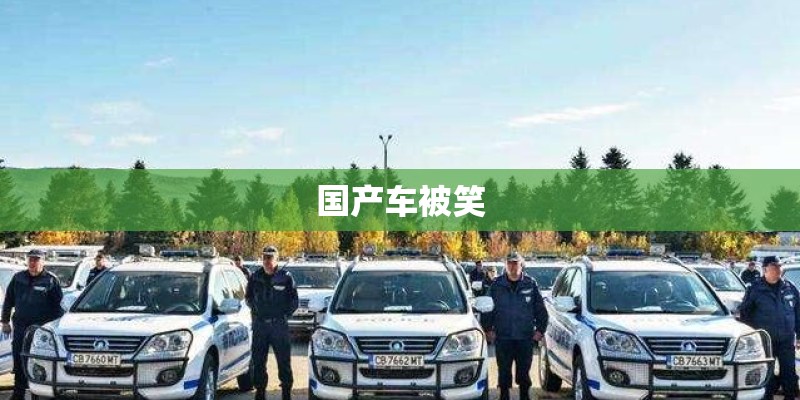 国产车被笑