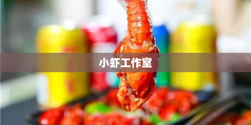 小虾工作室