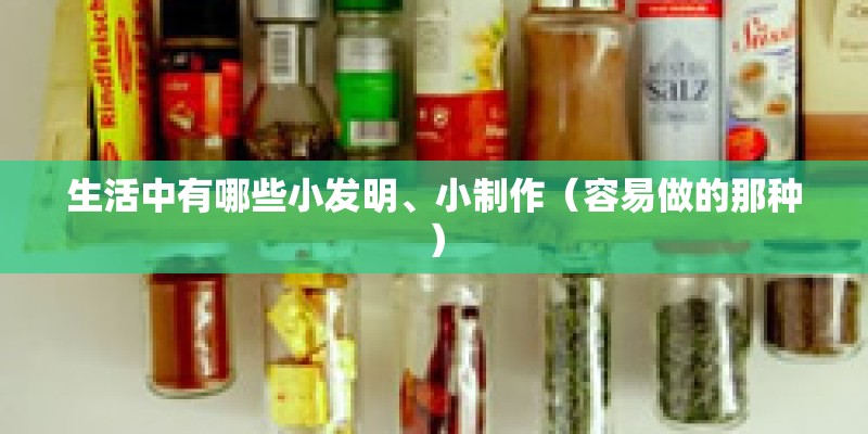 生活中有哪些小发明、小制作（容易做的那种）