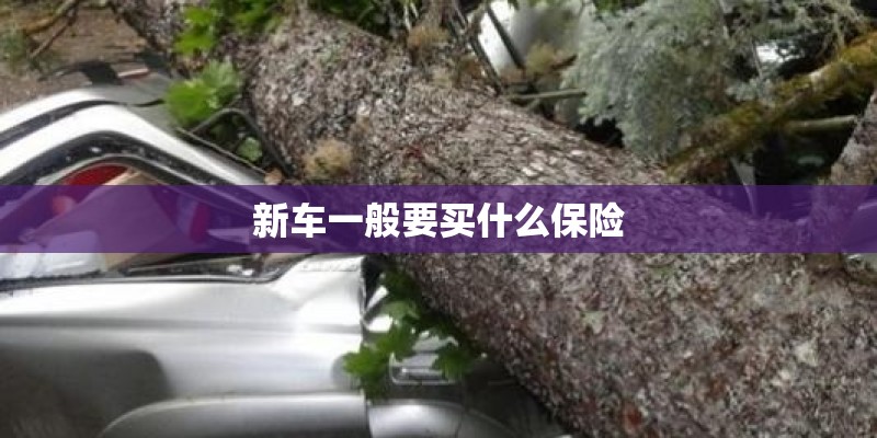 新车一般要买什么保险