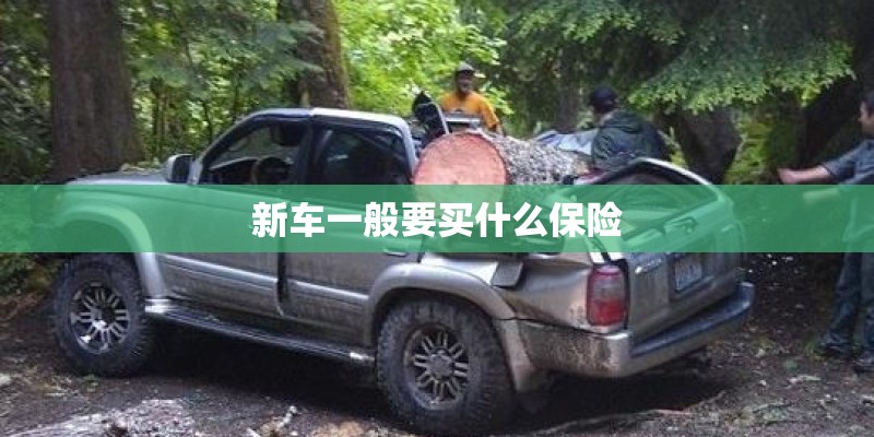 威玛猎犬怎么养 威玛猎犬喂养心得