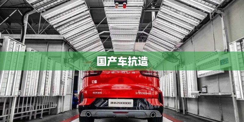 国产车抗造