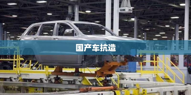 国产车抗造