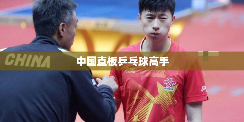 中国直板乒乓球高手 中国直板乒乓球高手