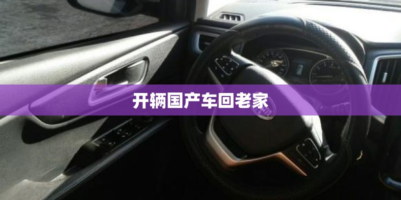 开辆国产车回老家 开辆国产车回老家