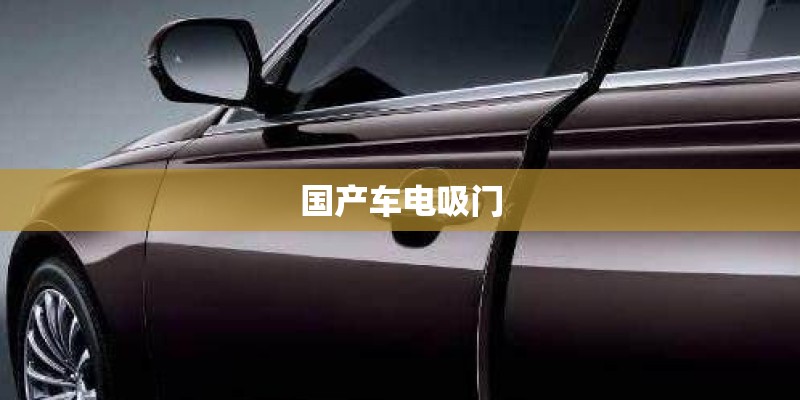 国产车电吸门