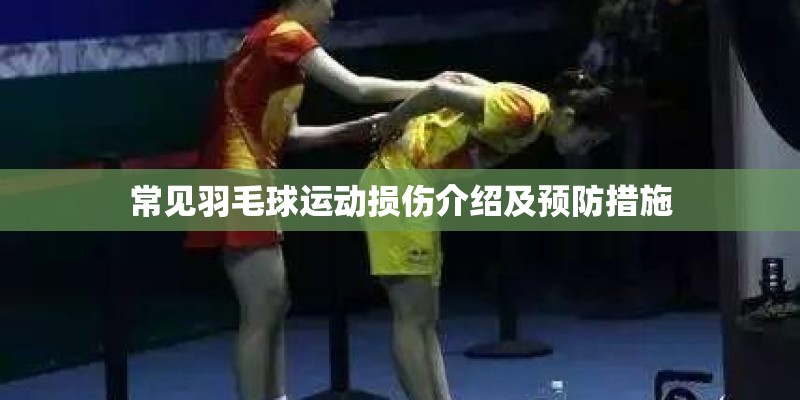 常见羽毛球运动损伤介绍及预防措施 常见羽毛球运动损伤介绍及预防措施