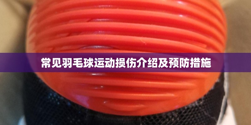 常见羽毛球运动损伤介绍及预防措施 常见羽毛球运动损伤介绍及预防措施