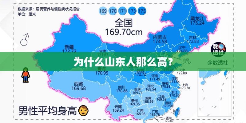 为什么山东人那么高？