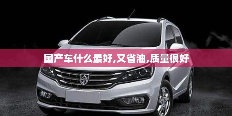 国产车什么最好,又省油,质量很好
