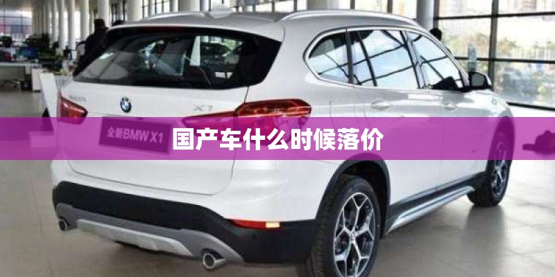国产车什么时候落价