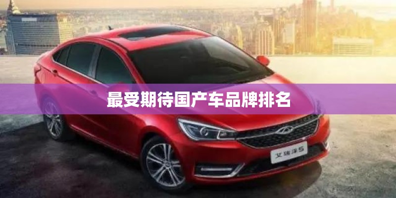 最受期待国产车品牌排名