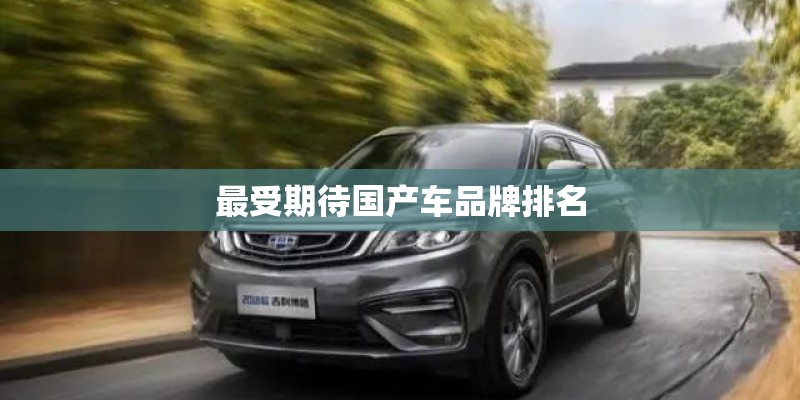最受期待国产车品牌排名