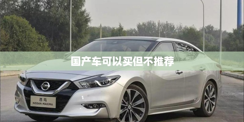 国产车可以买但不推荐