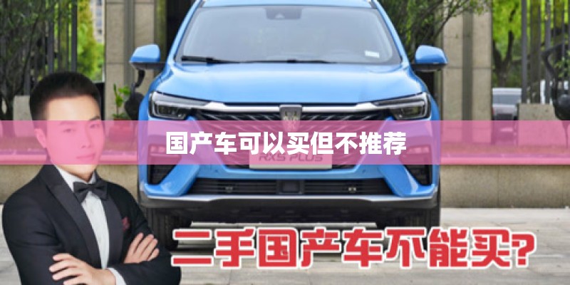 国产车可以买但不推荐