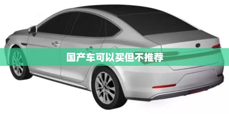 国产车可以买但不推荐