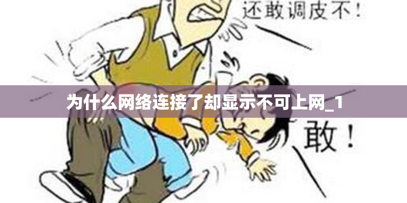 为什么网络连接了却显示不可上网_1