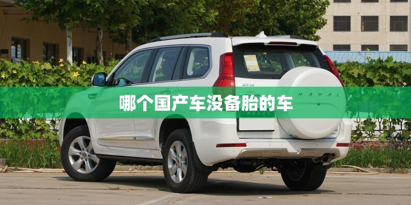 哪个国产车没备胎的车