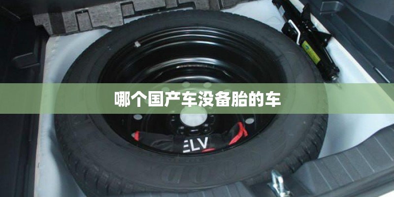 哪个国产车没备胎的车