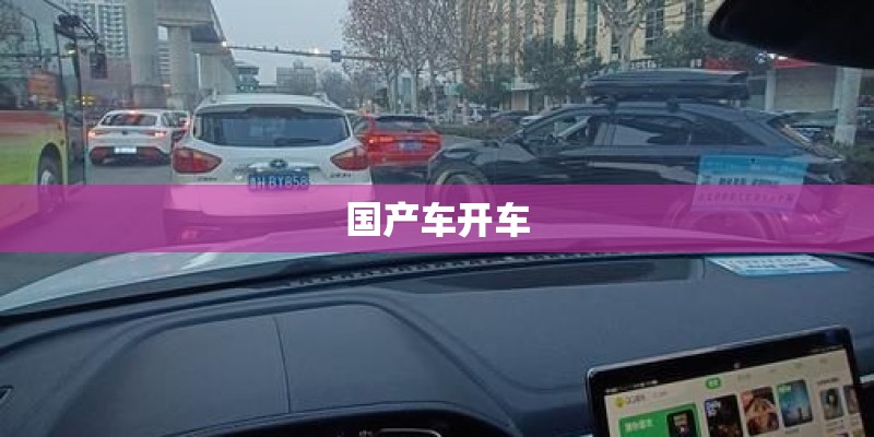 国产车开车