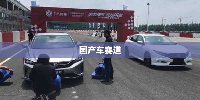国产车赛道