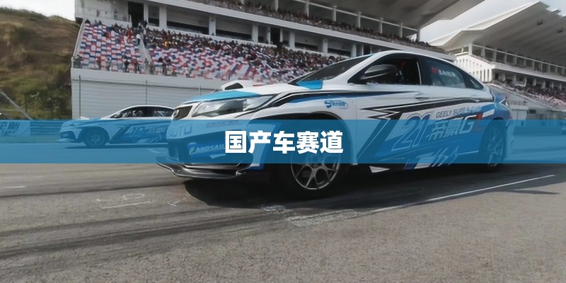 国产车赛道 国产车赛道