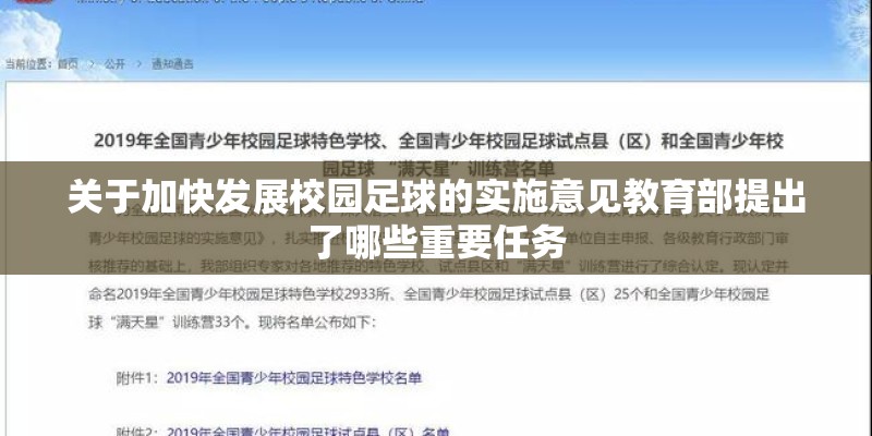 关于加快发展校园足球的实施意见教育部提出了哪些重要任务 关于加快发展校园足球的实施意见教育部提出了哪些重要任务