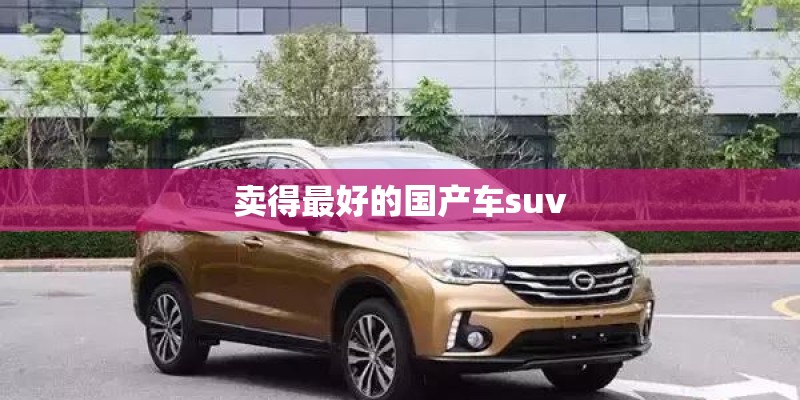 卖得最好的国产车suv