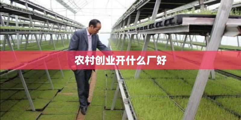 农村创业开什么厂好