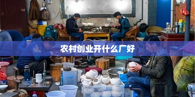 农村创业开什么厂好