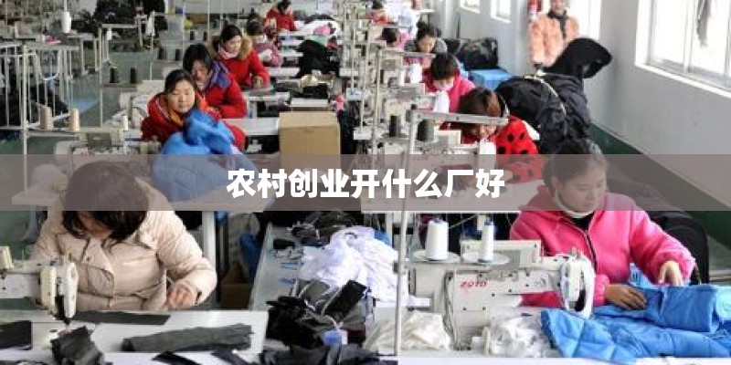 农村创业开什么厂好