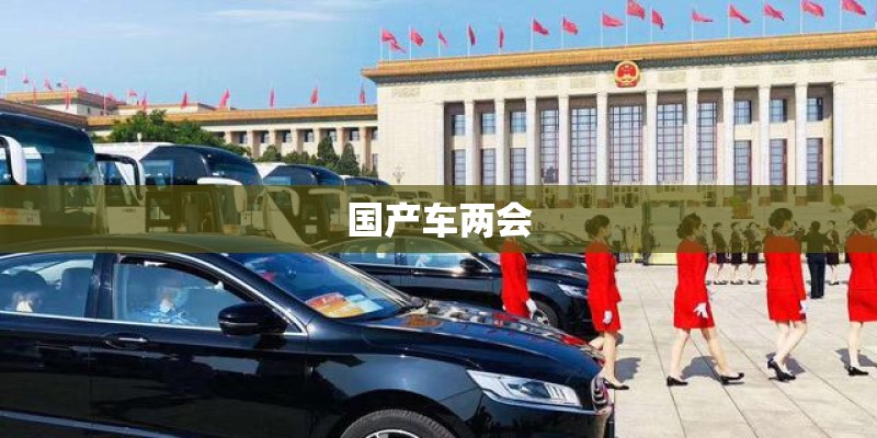 国产车两会
