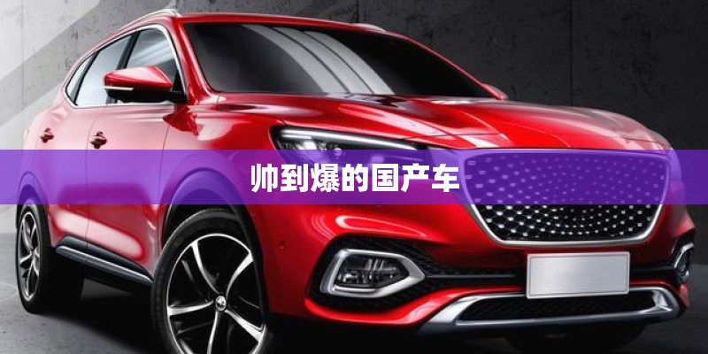 帅到爆的国产车