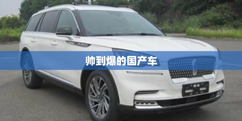 帅到爆的国产车