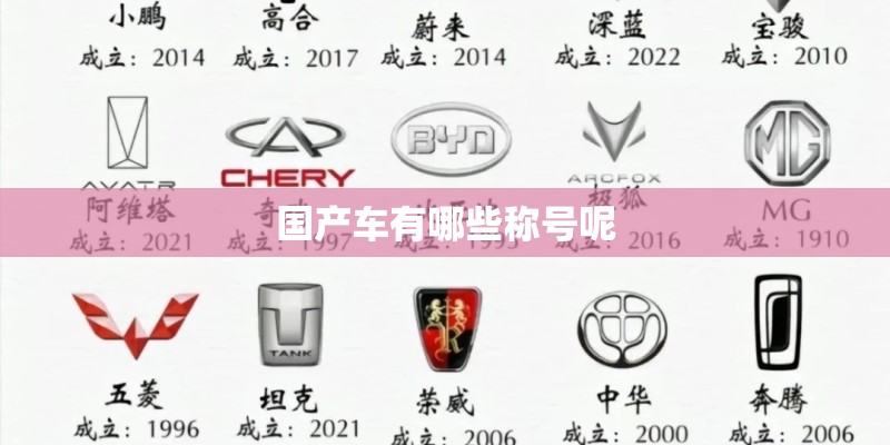 国产车有哪些称号呢