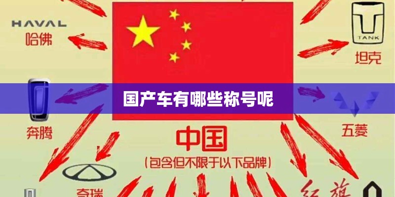 国产车有哪些称号呢