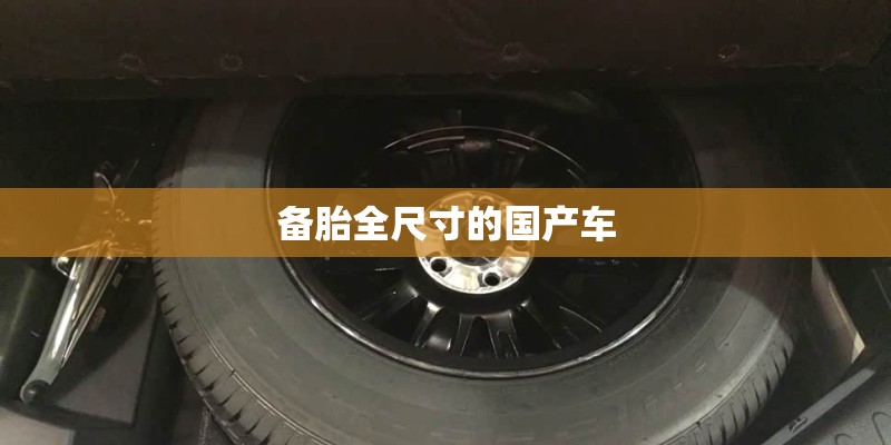 备胎全尺寸的国产车