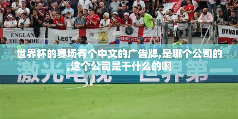 世界杯的赛场有个中文的广告牌,是哪个公司的,这个公司是干什么的啊