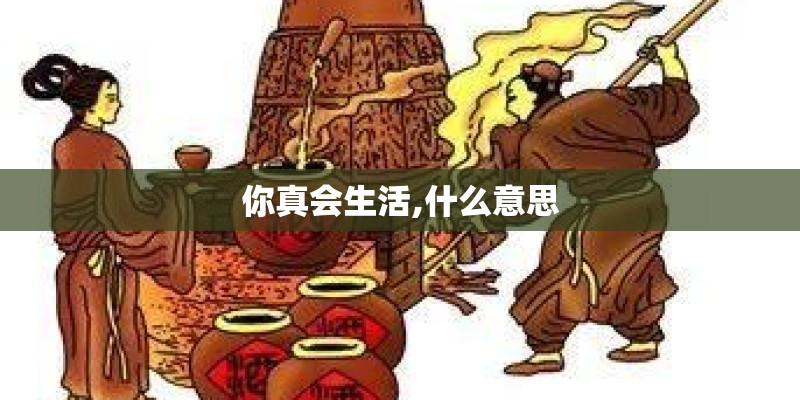 你真会生活,什么意思
