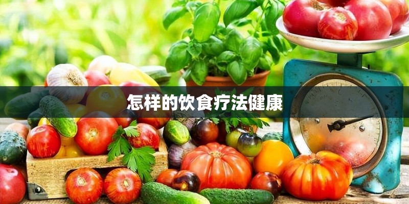怎样的饮食疗法健康