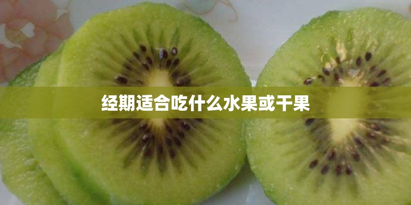 怎样训练比格幼犬