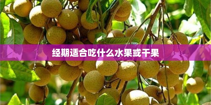 经期适合吃什么水果或干果