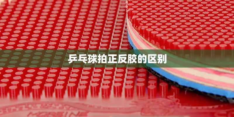乒乓球拍正反胶的区别