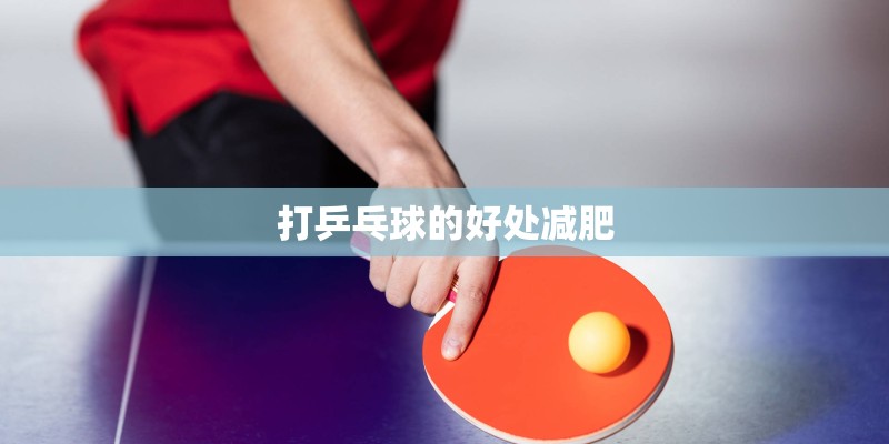 打乒乓球的好处减肥