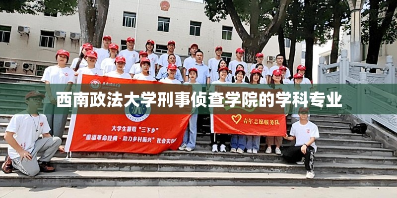 西南政法大学刑事侦查学院的学科专业