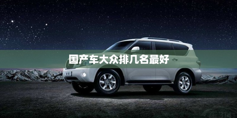 国产车大众排几名最好