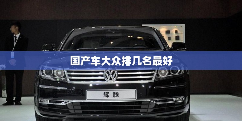 国产车大众排几名最好